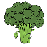 Illustration brocoli alimentation healthy